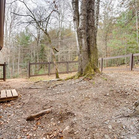 Peaceful Warne Cabin Fenced Yard And Screened Porch Brasstown Bagian luar foto